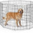Вольер MidWest Life Stages для собак, 8 панелей 61х122h см, с дверью-MAXLock 548DR - Вольер MidWest Life Stages для собак, 8 панелей 61х122h см, с дверью-MAXLock 548DR