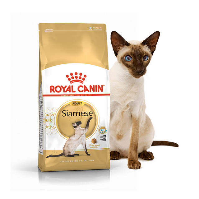Royal canin sale siamese