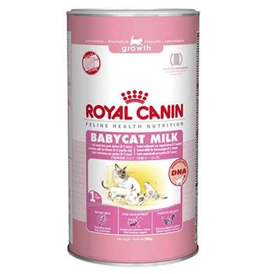 Royal canin babycat milk best sale