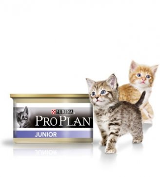 Pro Plan Junior Консервы для котят Влажный корм для котят, беременных и кормящих кошек.