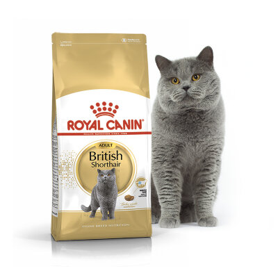 ROYAL CANIN / Роял Канин British Shorthair корм для британских кошек Корм для Британских короткошерстных кошек старше 12 месяцев.Подходит также кошкам пород скоттиш-фолд, скоттиш-страйт.