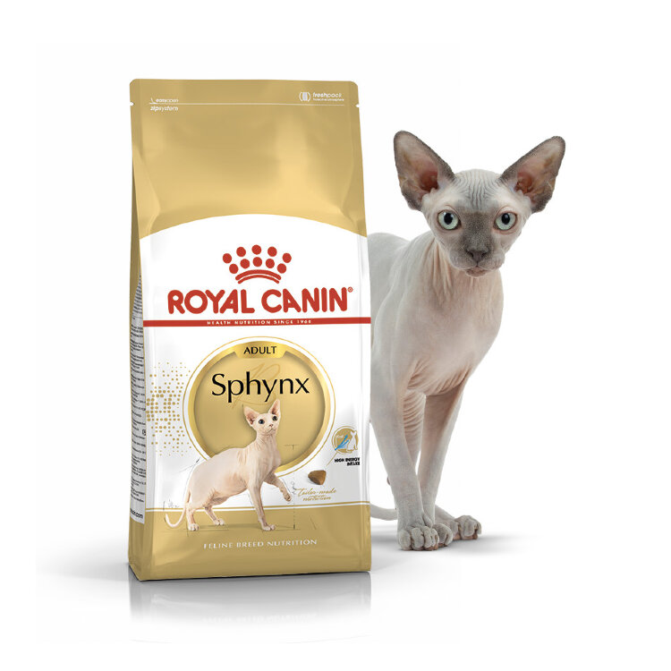 Royal deals canin sphynx
