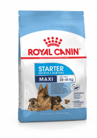 ROYAL CANIN / Роял Канин  Maxi Starter  корм для щенков до 2-х месяцев, беременных и кормящих собак