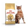 ROYAL CANIN / Роял Канин Bengal корм для бенгальских  кошек