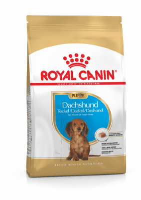 ROYAL  CANIN / Роял Канин Dachshund Puppy  корм для щенков породы Такса до 10 месяцев Корм для щенков породы Такса до 10 месяцев