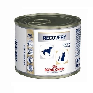 ROYAL CANIN / Роял Канин Recovery для собак и кошек в период выздоравления (банка) 195 гр Период восстановления