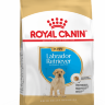 ROYAL  CANIN / Роял Канин Labrador Retriever 33 Puppy корм для щенков породы Лабрадор до 15 месяцев