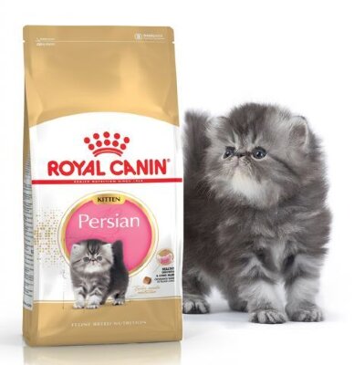 ROYAL  CANIN / Роял Канин Kitten Persian корм для персидских котят Корм для Персидских котят с 4 до 12 месяцев