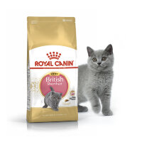 ROYAL  CANIN / Роял Канин  Kitten British Shorthair корм для котят породы британская короткошерстная