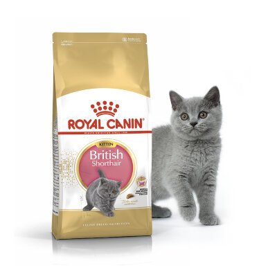 ROYAL  CANIN / Роял Канин  Kitten British Shorthair корм для котят породы британская короткошерстная Корм для Британских короткошерстных котят с 4 до 12 месяцев